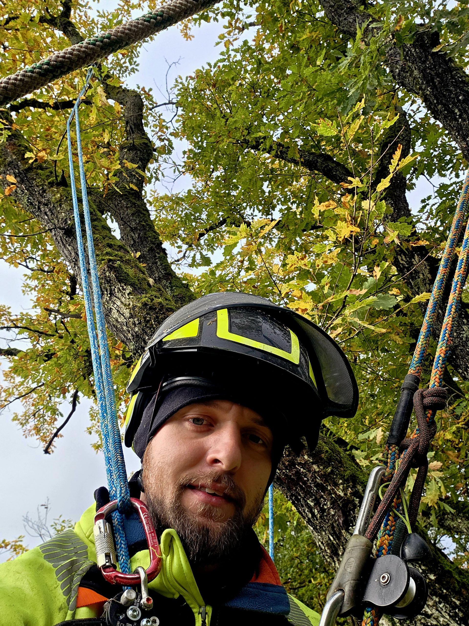 Le fondateur de Harmonie des Arbres, élagueur passionné, en action sur un chantier à Gueugnon