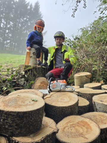 démontage harmonie des arbres élagage démontage harmonie des arbres élagage