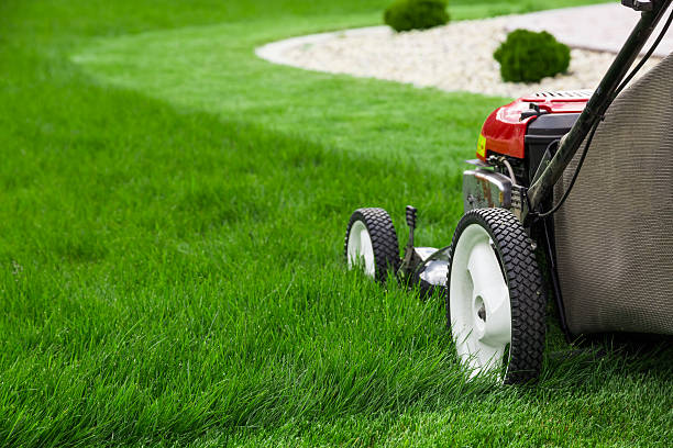 Services entretien et plantation Digoin