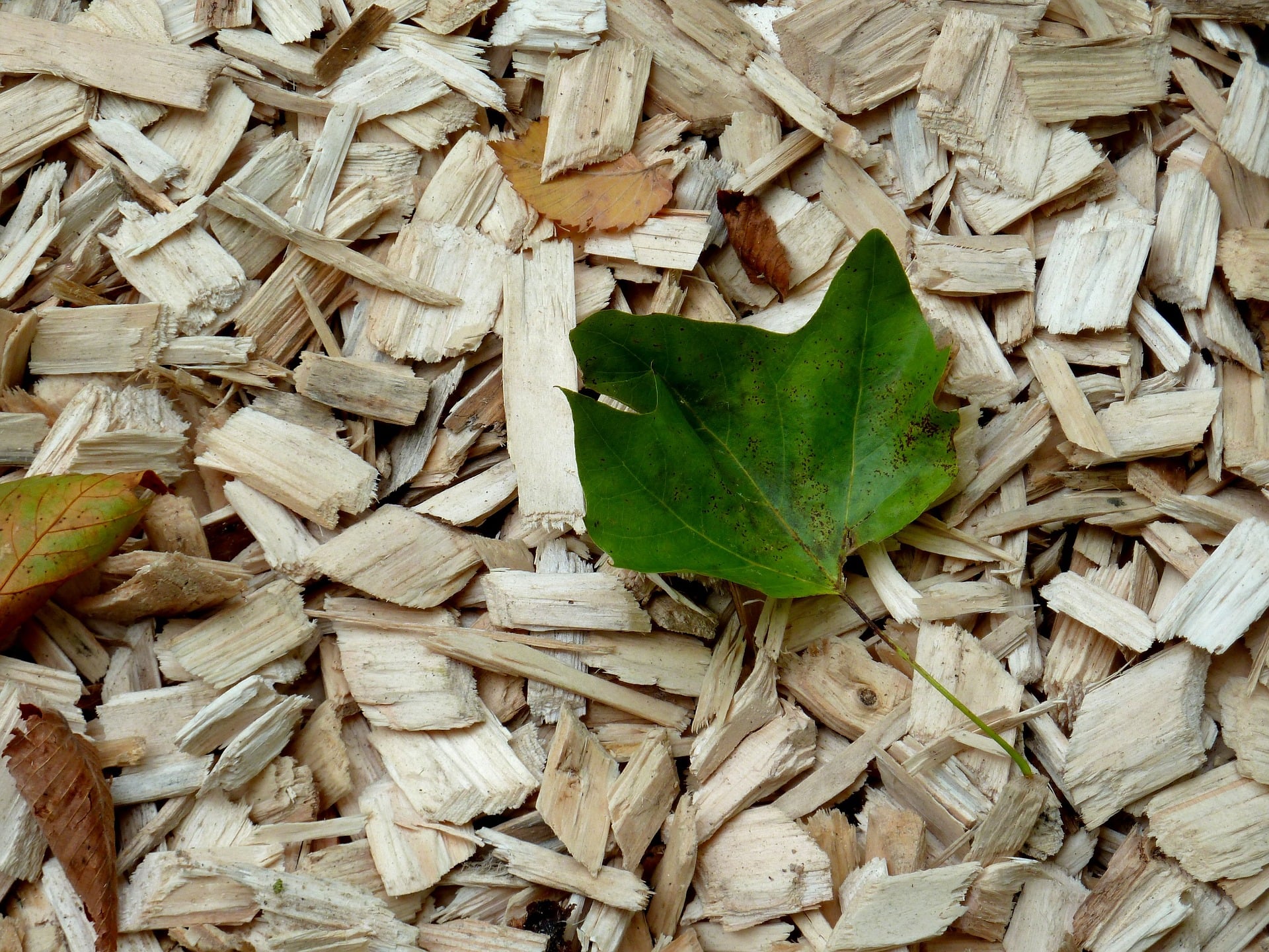 broyage de branches et recyclage de bois pour paillage de jardin à moulins.