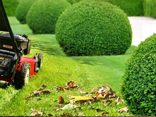 entretien de jardin et petits travaux d'élagage éligibles au crédit d'impôt de cinquante pour cent à marcigny.