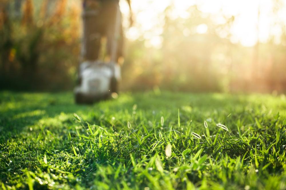 petits travaux de jardinage et taille de haies éligibles au crédit d'impôt service à la personne de cinquante pour cent à perrecy les forges.