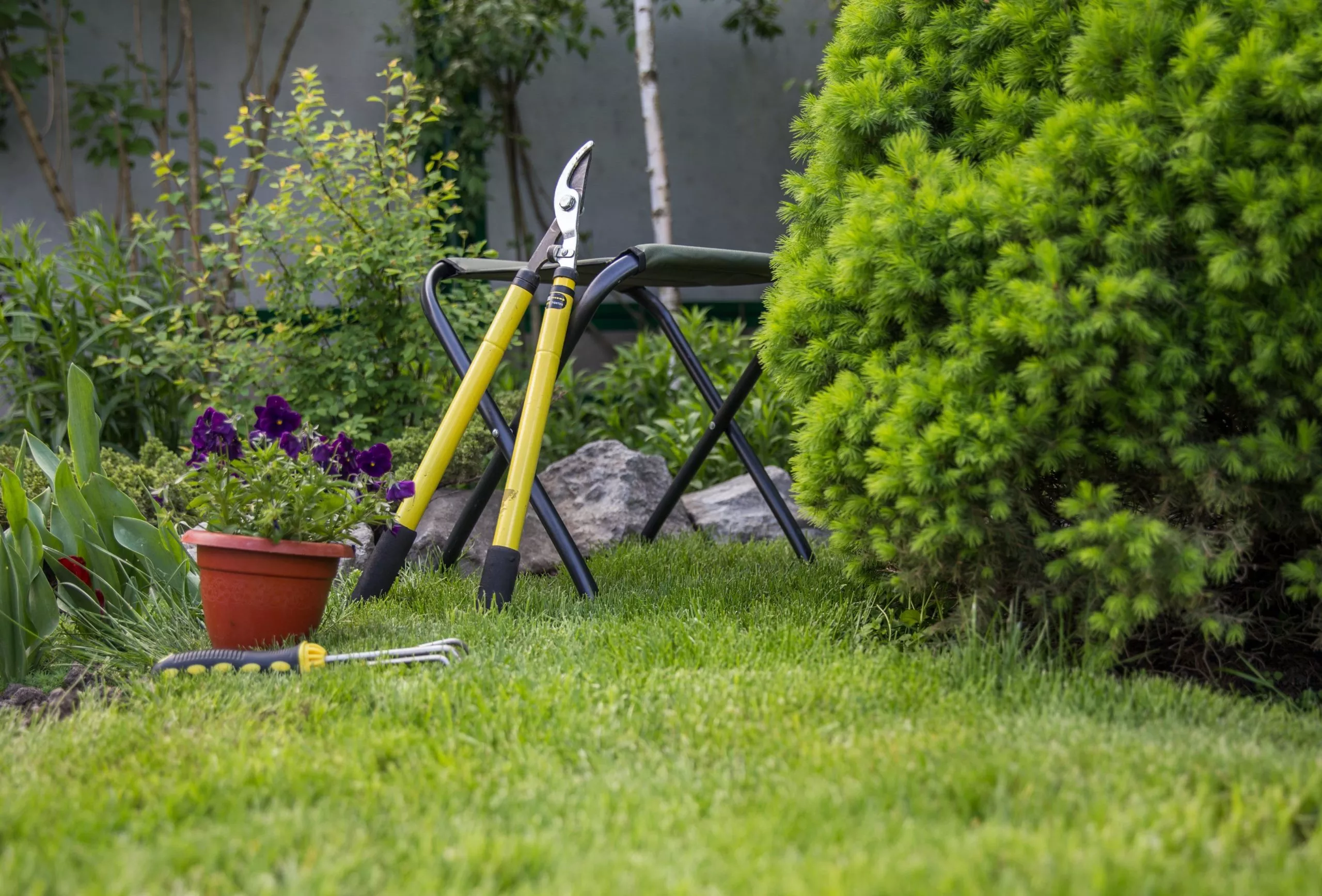 réduction fiscale de 50 pour cent pour l'entretien de jardin à moulins.