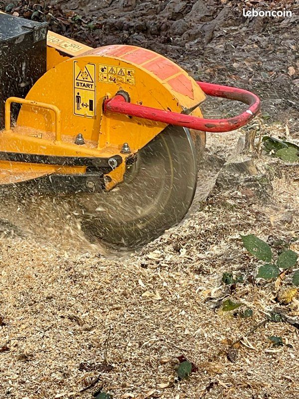 rognage de souche professionnel pour libérer le terrain après l'abattage d'un arbre dans un jardin à perrecy les forges.