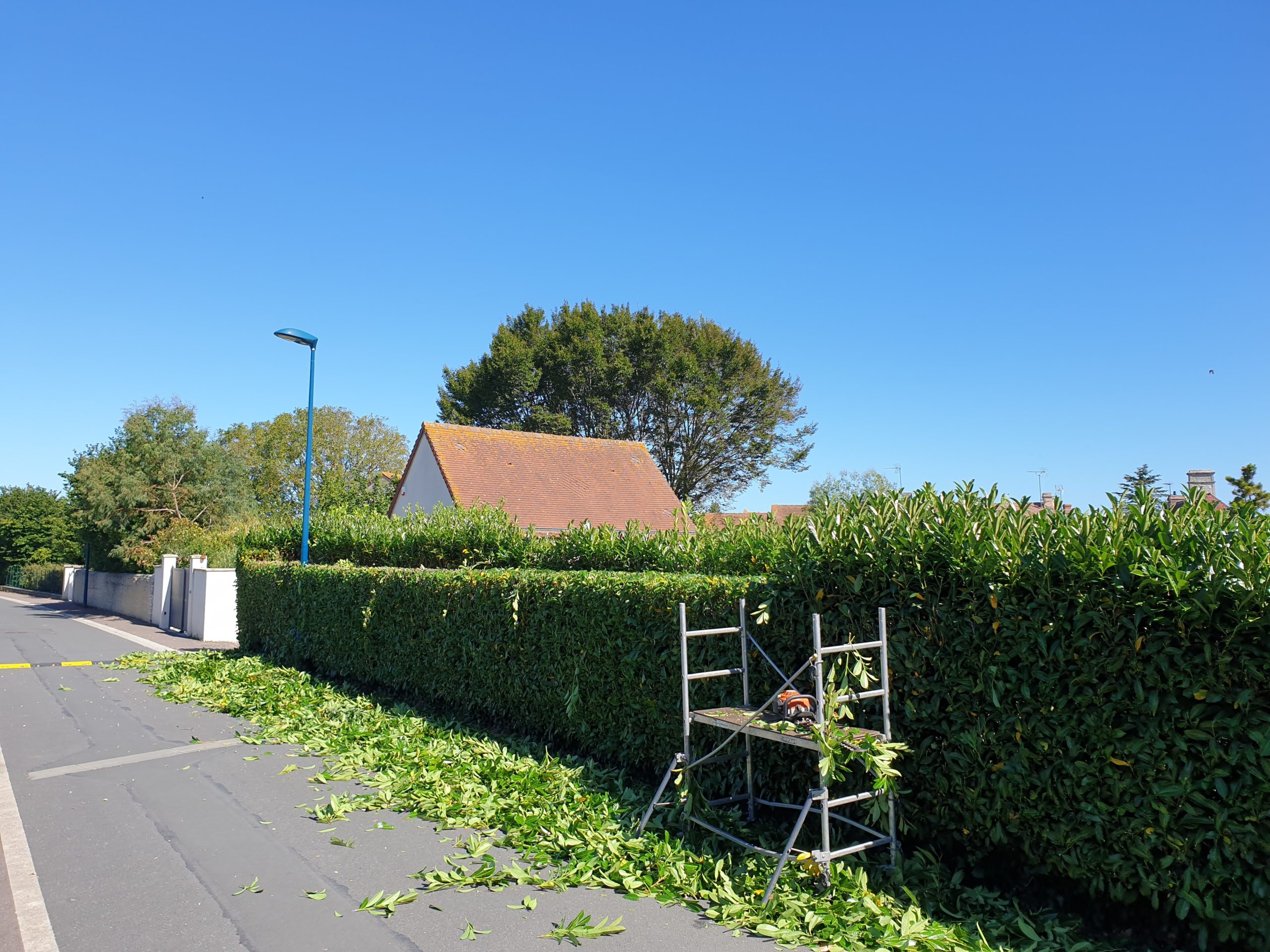 taille de haies architecturée et entretien de clôtures végétales réalisés avec soin par un professionnel à luzy.
