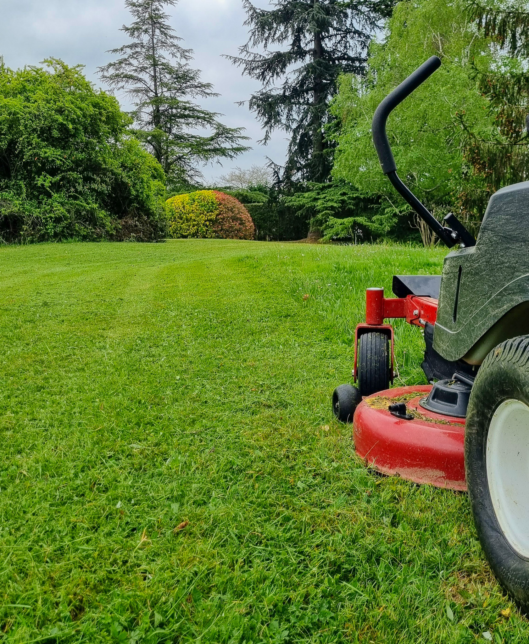 travaux de petit jardinage et entretien d'espaces verts éligibles au crédit d'impôt de 50 pour cent à luzy.