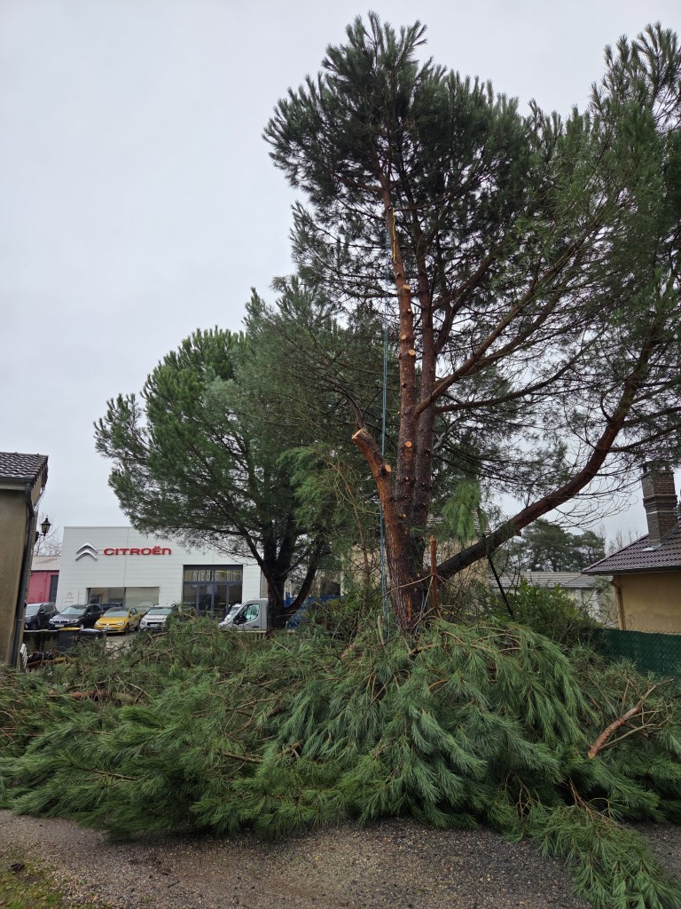 chantier abattage par demontage 71 (2) (moyen)