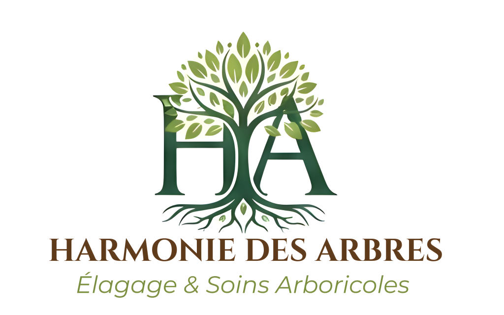 Harmonie des Arbres - Élagage et abattage à Gueugnon