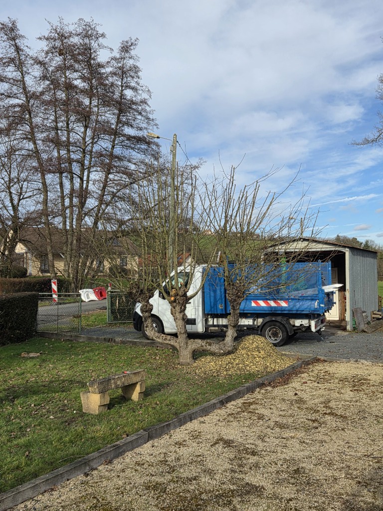 taille fruitiere entretien verger 71 (4) (moyen)